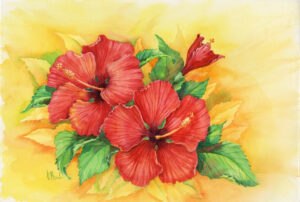 14232 Hibiscus Grandeur 22x15