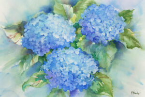16151 - Sky Blue Hydrangea - FLAT 24x16